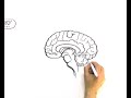 How to avoid arguments and confrontation in the work place : Effective Dialogue