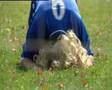 Goals and Gaffs music by Simon Woodgate