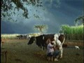 中村俊輔動画