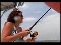 outer banks north carolina cobia and shark fishing