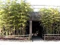 [ss2009] seonyudo