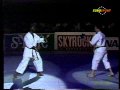 Karate - Bercy Martial Arts Festival 1991
