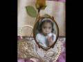 videos de montagens_0001.wmv