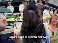 Take Me Out to the Ball Game - Dogs Take Me Out to the Ball Game - Dogs