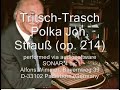 Zither: Tritsch-Tratsch-Polka Zither: Tritsch-Tratsch-Polka