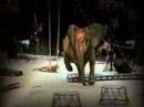 Rampaging Elephant Kills And Tramples