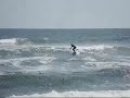 Surfin steve