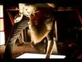 Fear Before - Jabberwocky