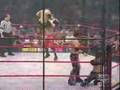 Four TNA finishers