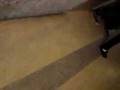videos de the plague 2