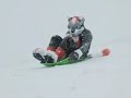 furry fun in the snow furry fun in the snow