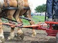 Belgian horses Mowing Hay at the Horse Progress Days
