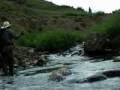 Colorado Backcountry Cutthroats
