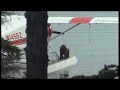 Alaska Bears on Floatplane