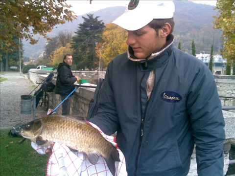 CHRISTIAN ANDREANI... SAMPEI...