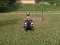 Active 24 with Emil Jylhänlahti
