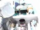 Jurel en equipo ligero 2 (Jack Crevalle on light rod&reel)