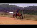 Tastefully Ellegant  - FOR SALE - 05 AQHA Gelding