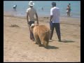 I Love Durres 2 Summer 2007 (Movie+Album) I Love Durres 2 Summer 2007 (Movie+Album)