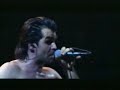 Litfiba - L'esercito delle Forchette [Live]