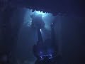 Yukon Night Dive