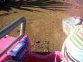 videos de carsynn at grandpa's house