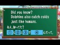 あの動物も?ビーチで使えるかもしれない?!English#64【7つの海を楽しもう!世界さまぁ~リゾート】 ヌーディストリゾート