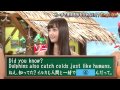 あの動物も?ビーチで使えるかもしれない?!English#64【7つの海を楽しもう!世界さまぁ~リゾート】 ヌーディストリゾート