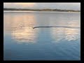 Speed boat