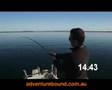 Adventure Bound - Port Augusta Kingfish
