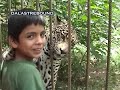 NI�O VS NATURALEZA(TIGRESA)