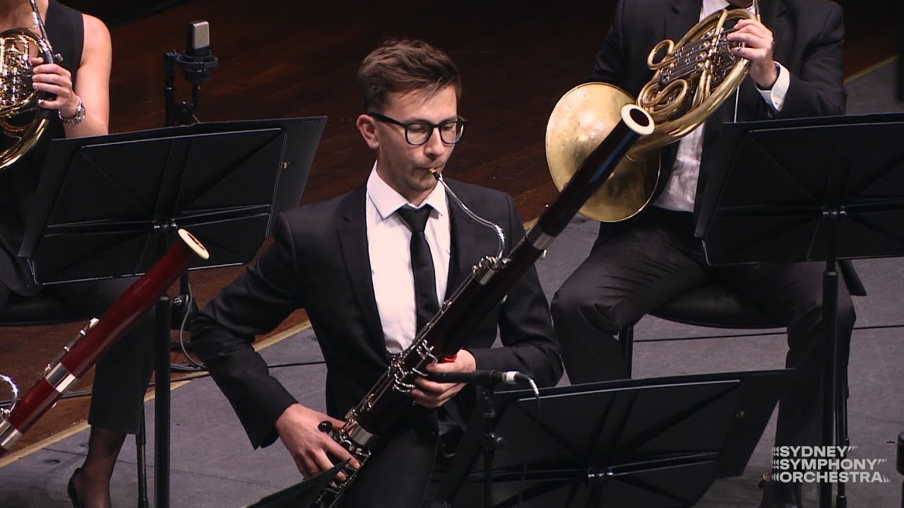 Dvořák & Bartók