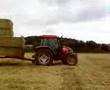 mccormick