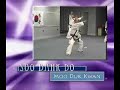 Soo Bahk Do Moo Duk Kwan Promo Soo Bahk Do Moo Duk Kwan Promo