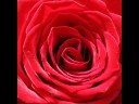 An unsere lieben M�nner