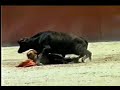 Opgewonden stier Opgewonden stier