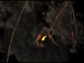 3D Balrog Test
