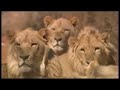 South Africa cracks down on \ South Africa cracks down on \