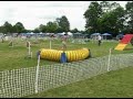 BCDC AKC Agility Trial, 6/2 and 6/3/07