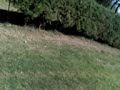 bloopers de 5ta a fondo casero