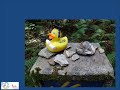 Jajobsweg 7. März - The Rose.wmv