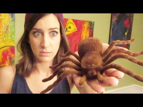 BIGGEST SPIDER EVER (Mail Vlog 11.22.13 - Day 1667)