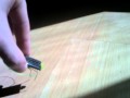 (uploaded by PalezQkkeli)&nbsp;Solar Powered Novelty Locust