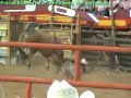 los destructores en villa de alvares colima