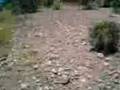videos de expedicion robison