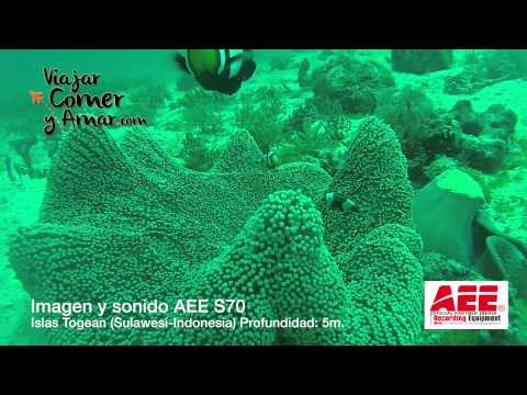 Imagen de previsualización de YouTube