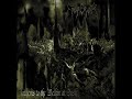 The Loss and Curse of Reverence - Emperor