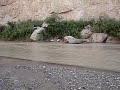 Rio Grande at the Boquillas Canyon BigBend national Park Tx Rio Grande at the Boquillas Canyon BigBend national Park Tx