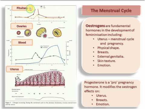 how to control oestrogen levels