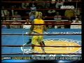 Zab Judah 1995 Daily News Golden Gloves